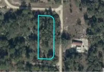 Ne 134th Terrace, Bronson, FL 32621 - #1