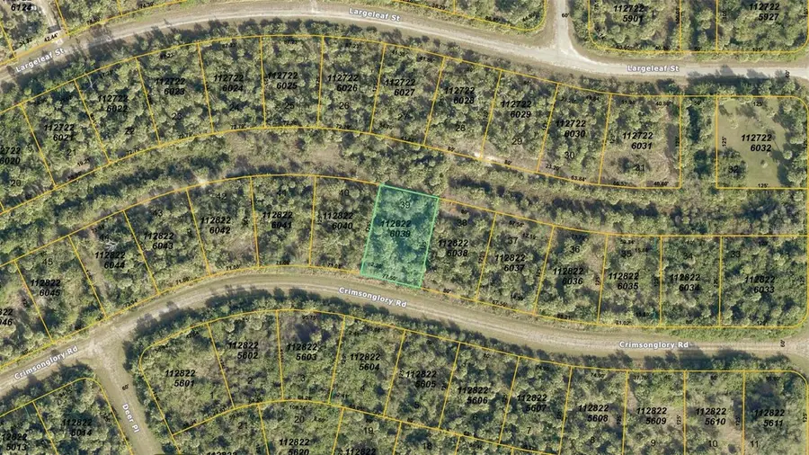Crimsonglory Road, North Port, FL 34288 - #3