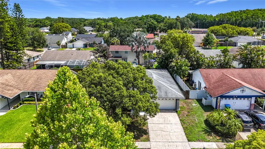 2825 Wendover Terrace, Palm Harbor, FL 34685 - #3
