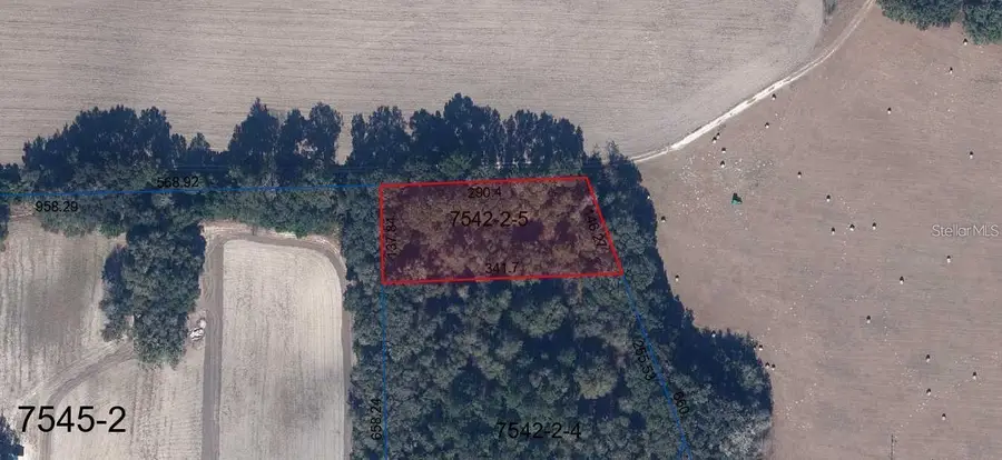 St Rd 235, Brooker, FL 32622 - #3