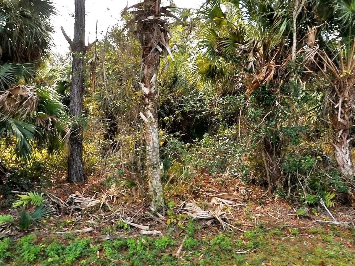 Vogler Lane, North Port, FL 34286 - #1