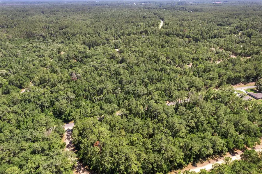 905 E Abend Drive, Dunnellon, FL 34434 - #3