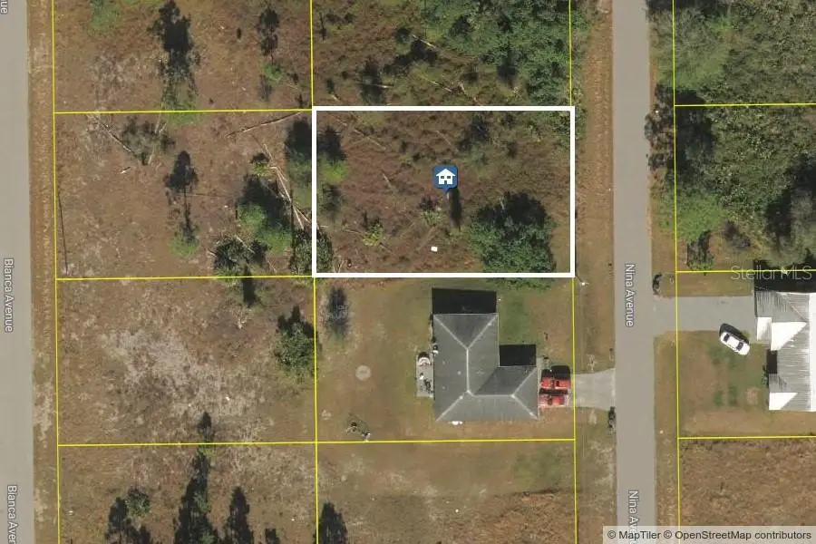 768 Nina Avenue S, Lehigh Acres, FL 33974 - #1