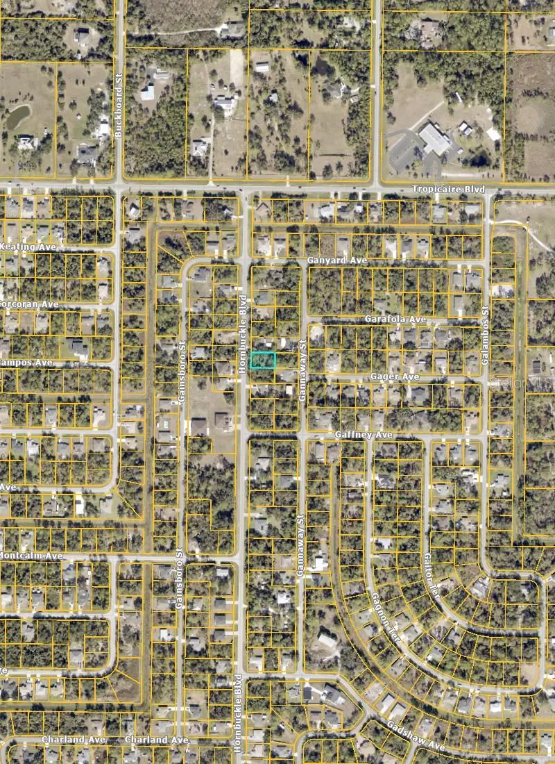 Hornbuckle Boulevard, North Port, FL 34291 - #2