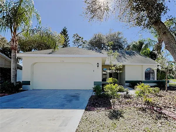 11701 Lynmoor Drive, RIVERVIEW, FL 33579