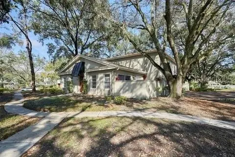 11713 Raintree Drive, TAMPA, FL 33617