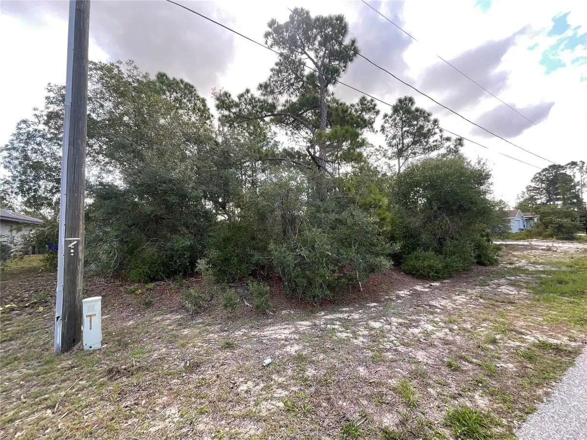 515 Concert Drive, Lake Placid, FL 33852 - #1