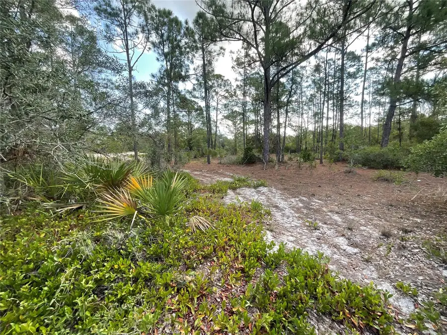 515 Concert Drive, Lake Placid, FL 33852 - #3