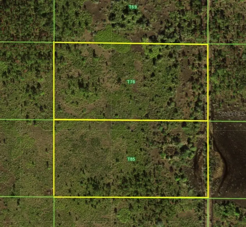 50530 Bermont Road, Punta Gorda, FL 33982 - #2