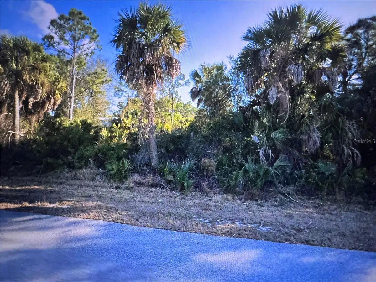 26319 Brooks Road, Punta Gorda, FL 33955 - #1
