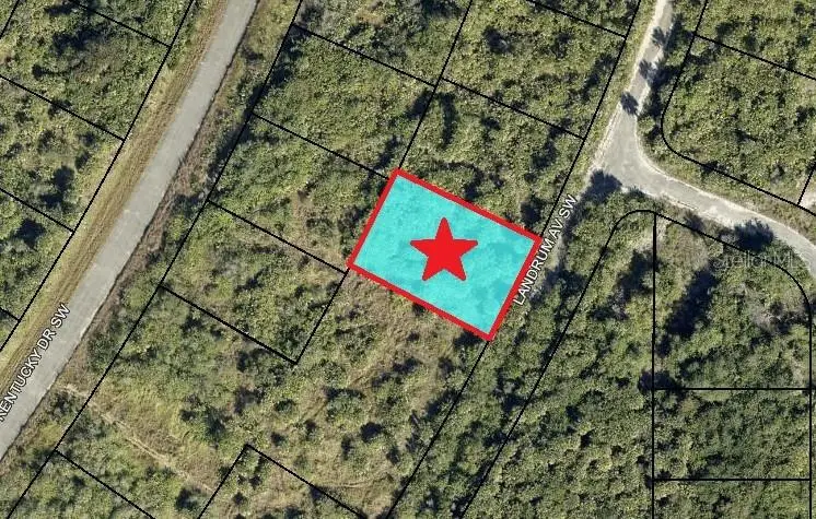 2466 Landrum Avenue Sw, Palm Bay, FL 32908 - #1