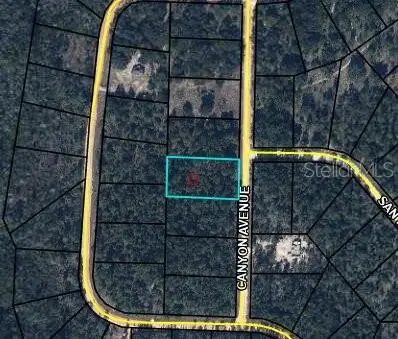 0 Canyon Avenue, Alford, FL 32420 - #2