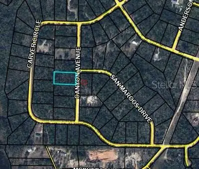 0 Canyon Avenue, Alford, FL 32420 - #3