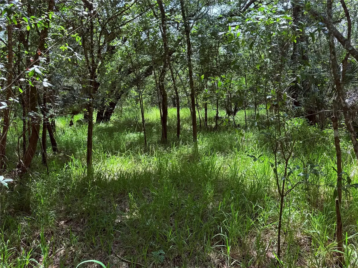 Ne River Ridge Avenue, Arcadia, FL 34266 - #1