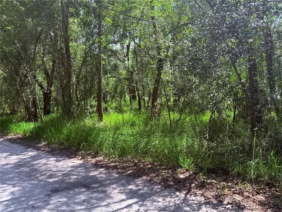 Ne River Ridge Avenue, Arcadia, FL 34266 - #3