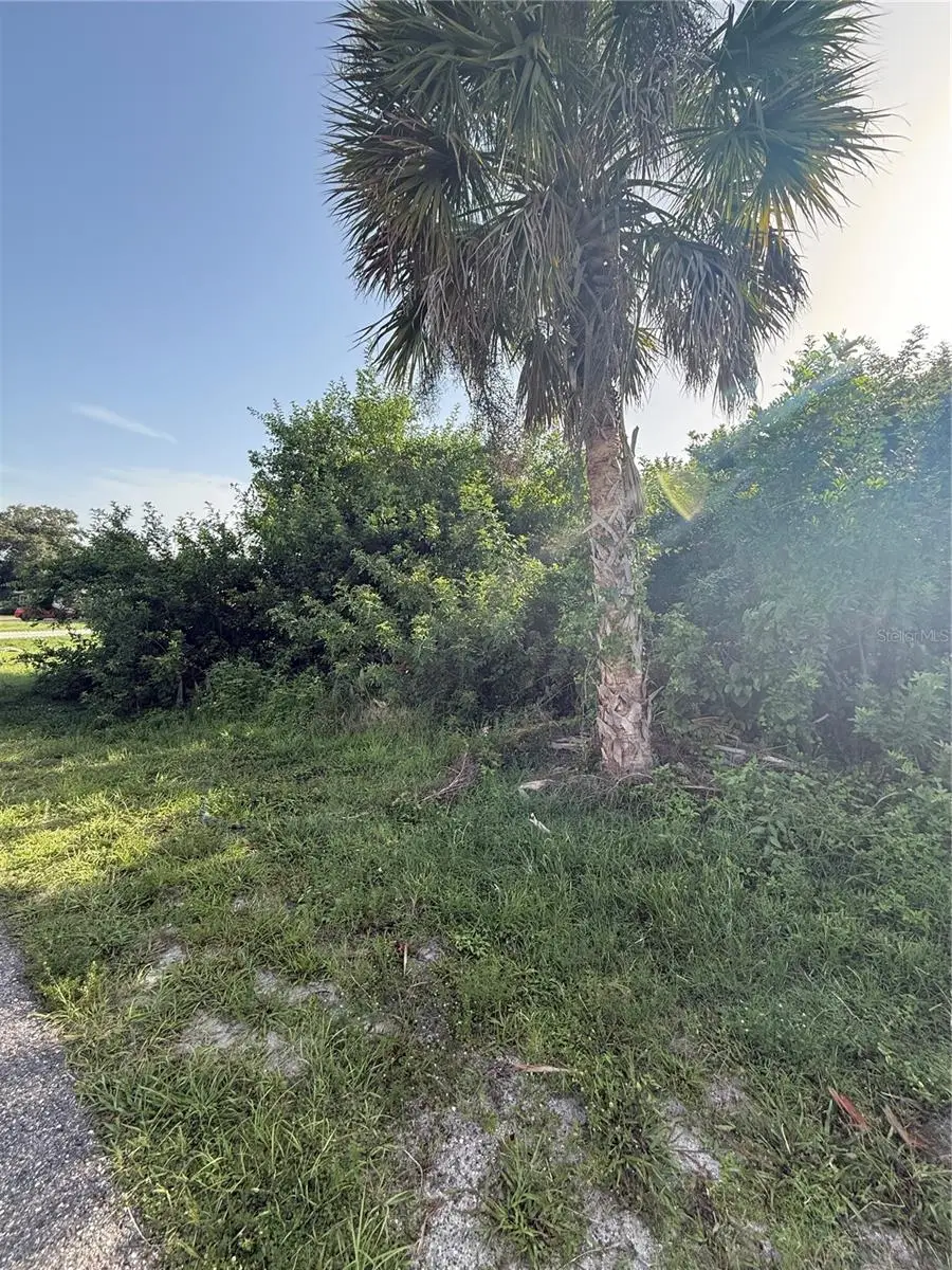 2071 Carpetgreen Street, Port Charlotte, FL 33948 - #3