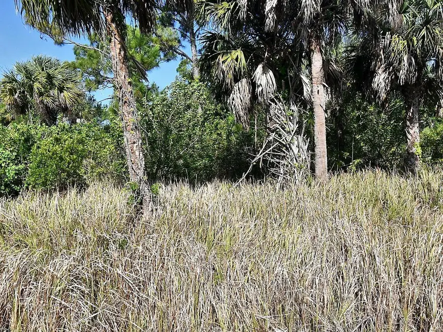 Dennis Street, North Port, FL 34286 - #3