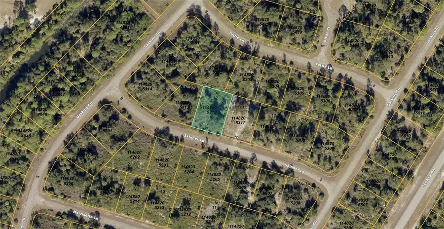 Skinner Lane, North Port, FL 34288 - #3