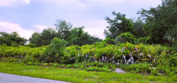12242 Bacchus Road, PORT CHARLOTTE, FL 33981
