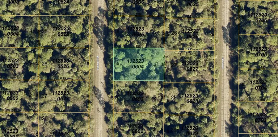 Dunmore Street, North Port, FL 34288 - #3