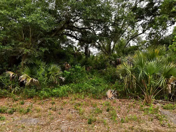 Lot 18 Dunsmuir Road, NORTH PORT, FL 34288
