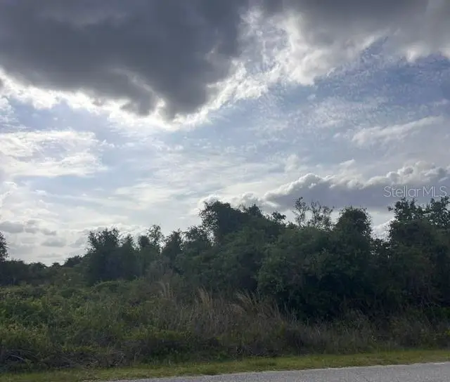 8395 SW Aviary Road, Arcadia, FL 34269 - #3