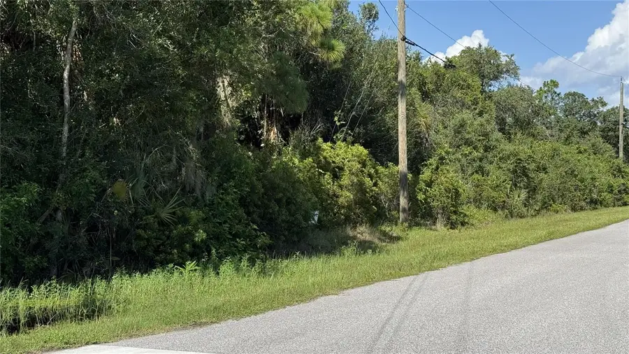 12494 Mohican Avenue, Port Charlotte, FL 33953 - #3