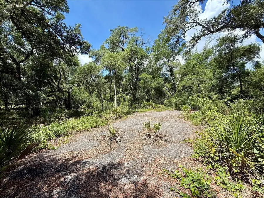 Lot 10 Long Circle, Webster, FL 33597 - #3