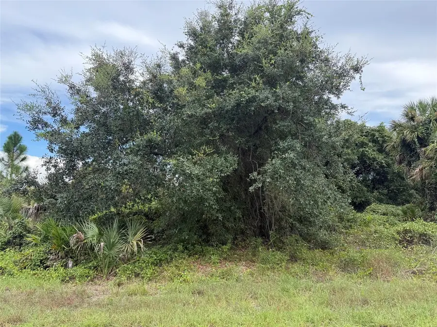 Lot 1 Gaskins Circle, North Port, FL 34288 - #2