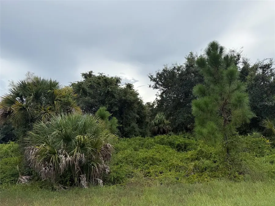 Lot 1 Gaskins Circle, North Port, FL 34288 - #3