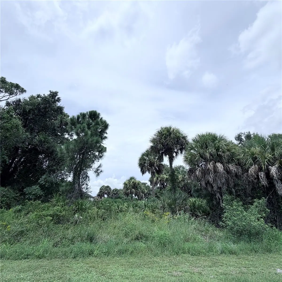 Torino Street, North Port, FL 34287 - #1
