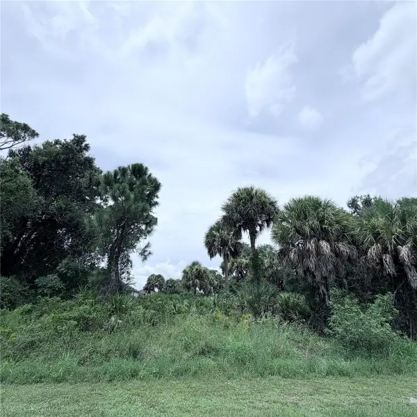 Torino Street, NORTH PORT, FL 34287