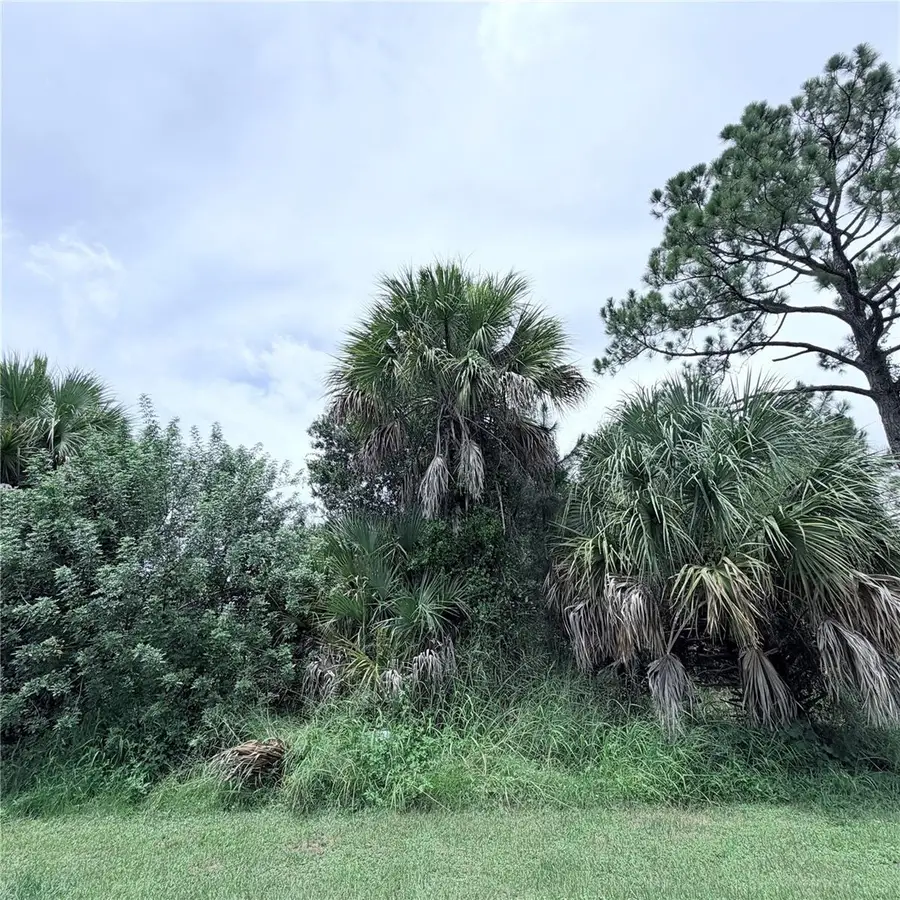 Torino Street, North Port, FL 34287 - #3