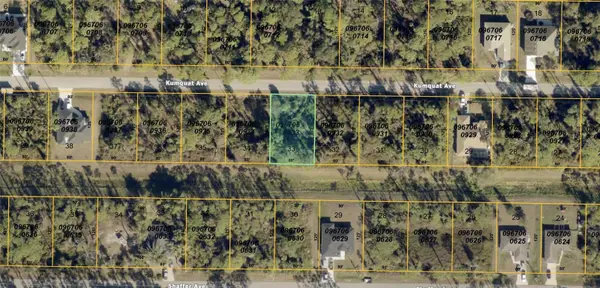 Kumquat Avenue, NORTH PORT, FL 34291