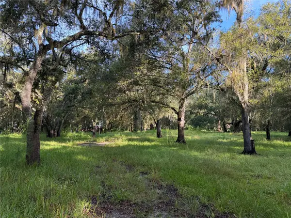 1284 NE River Mill Drive, ARCADIA, FL 34266