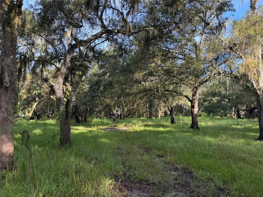 1284 NE River Mill Drive, Arcadia, FL 34266 - #2