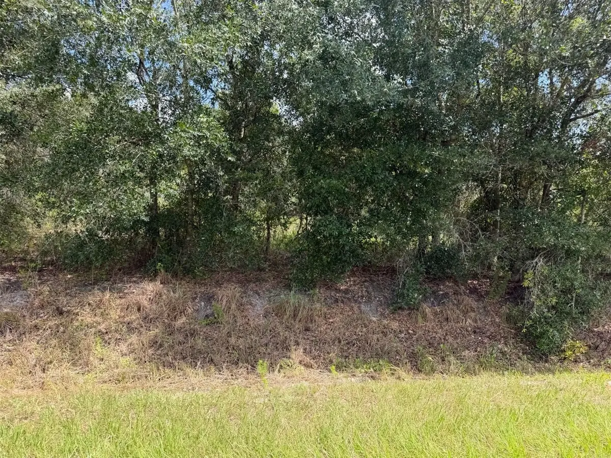 21971 NW 260th Street, Okeechobee, FL 34972 - #1