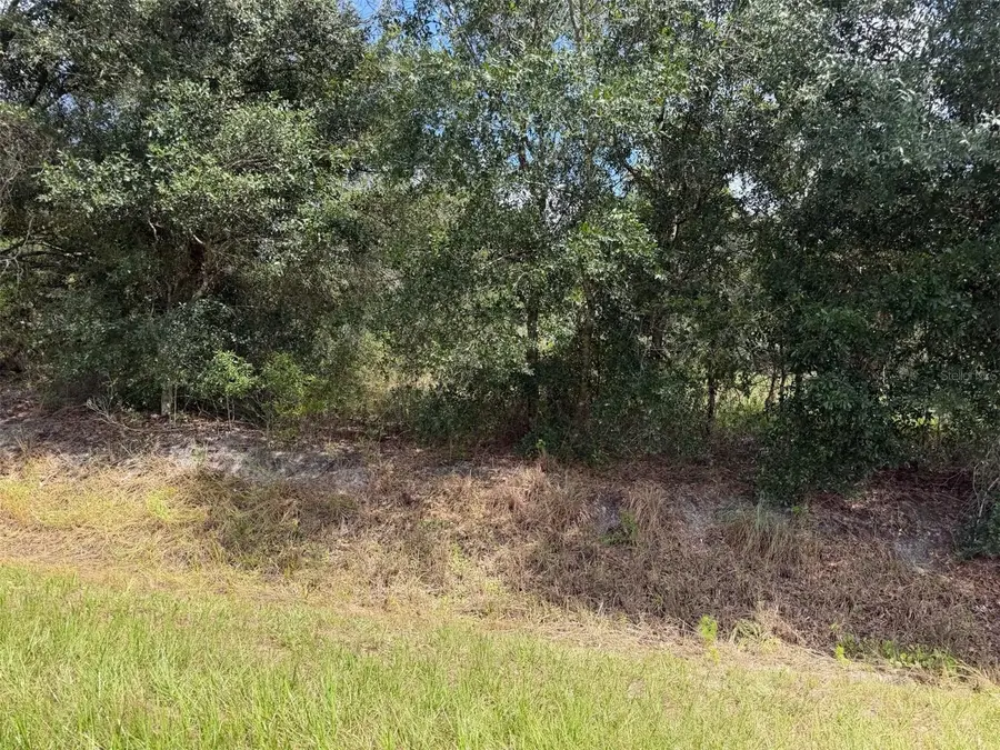 21971 NW 260th Street, Okeechobee, FL 34972 - #2