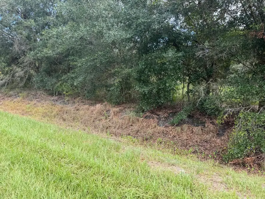 21971 NW 260th Street, Okeechobee, FL 34972 - #3