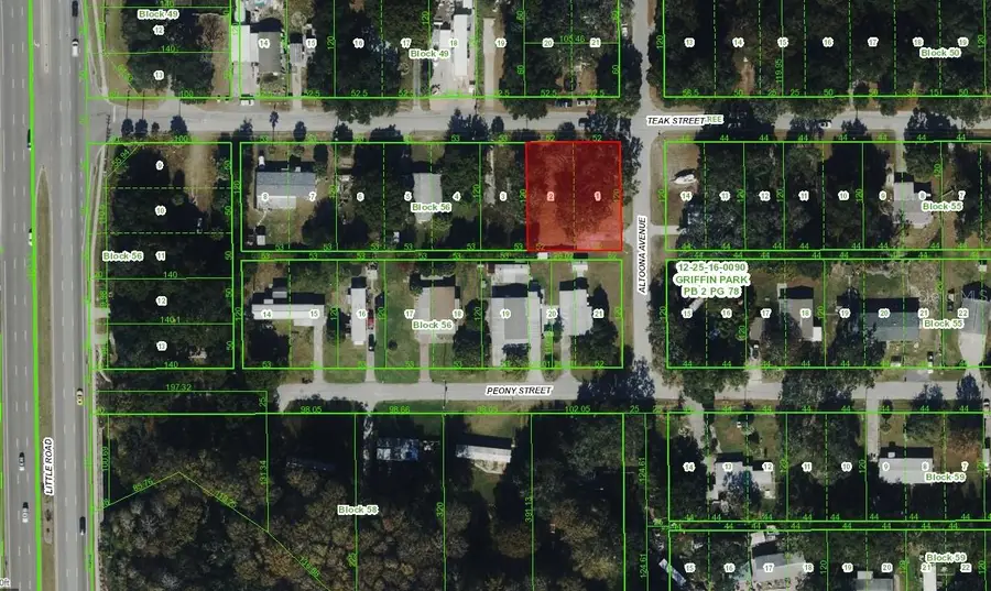 9052 Teak Street, New Port Richey, FL 34654 - #2