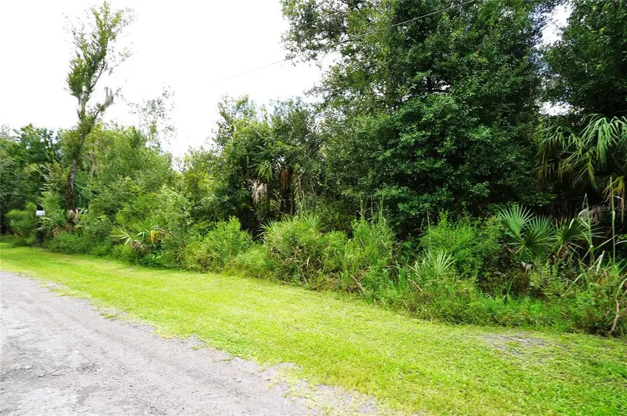 2047 SW Nassau Avenue, Arcadia, FL 34266 - #2