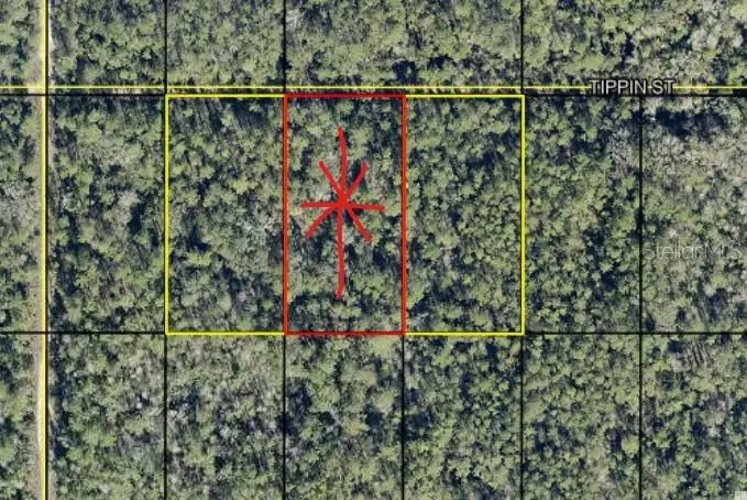 tract 602 Tippin St, Hastings, FL 32145 - #1
