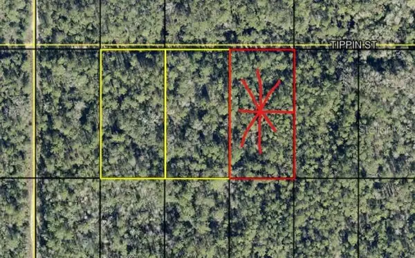 tract 603 Tippin St, HASTINGS, FL 32145