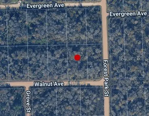 3998 Walnut Avenue, BUNNELL, FL 32110