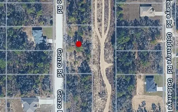 14498 Gonzo Road, Weeki Wachee, FL 34614 - #1