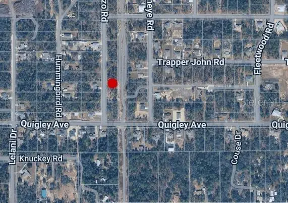 14498 Gonzo Road, Weeki Wachee, FL 34614 - #2
