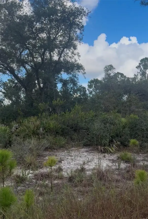 3513 Turin Street, LAKE PLACID, FL 33852