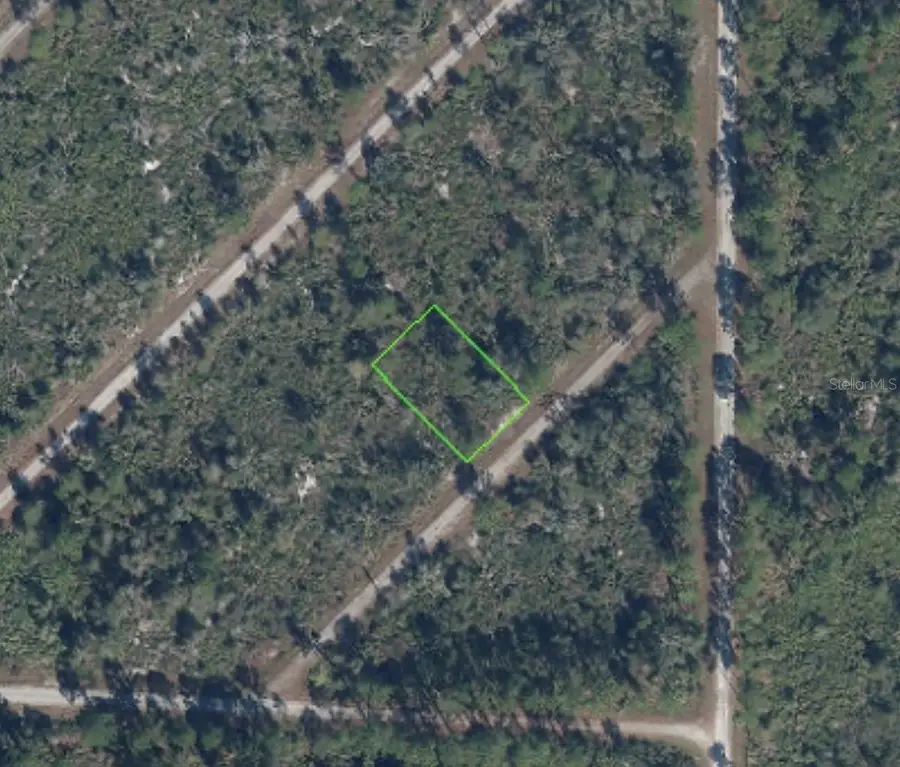 3513 Turin Street, Lake Placid, FL 33852 - #2