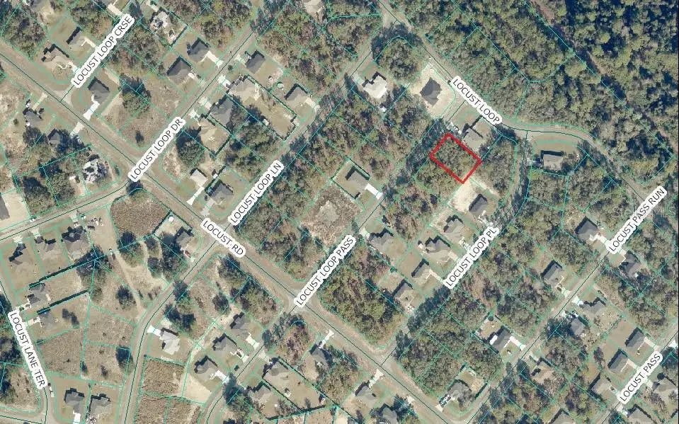 Locus Loop Pass, Ocklawaha, FL 32179 - #1