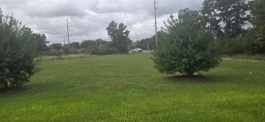 359 Aster Court W, Poinciana, FL 34759 - #3